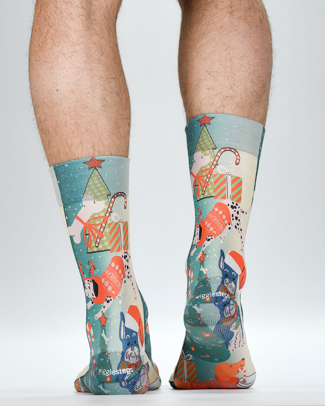 Party Dog Erkek Çorap