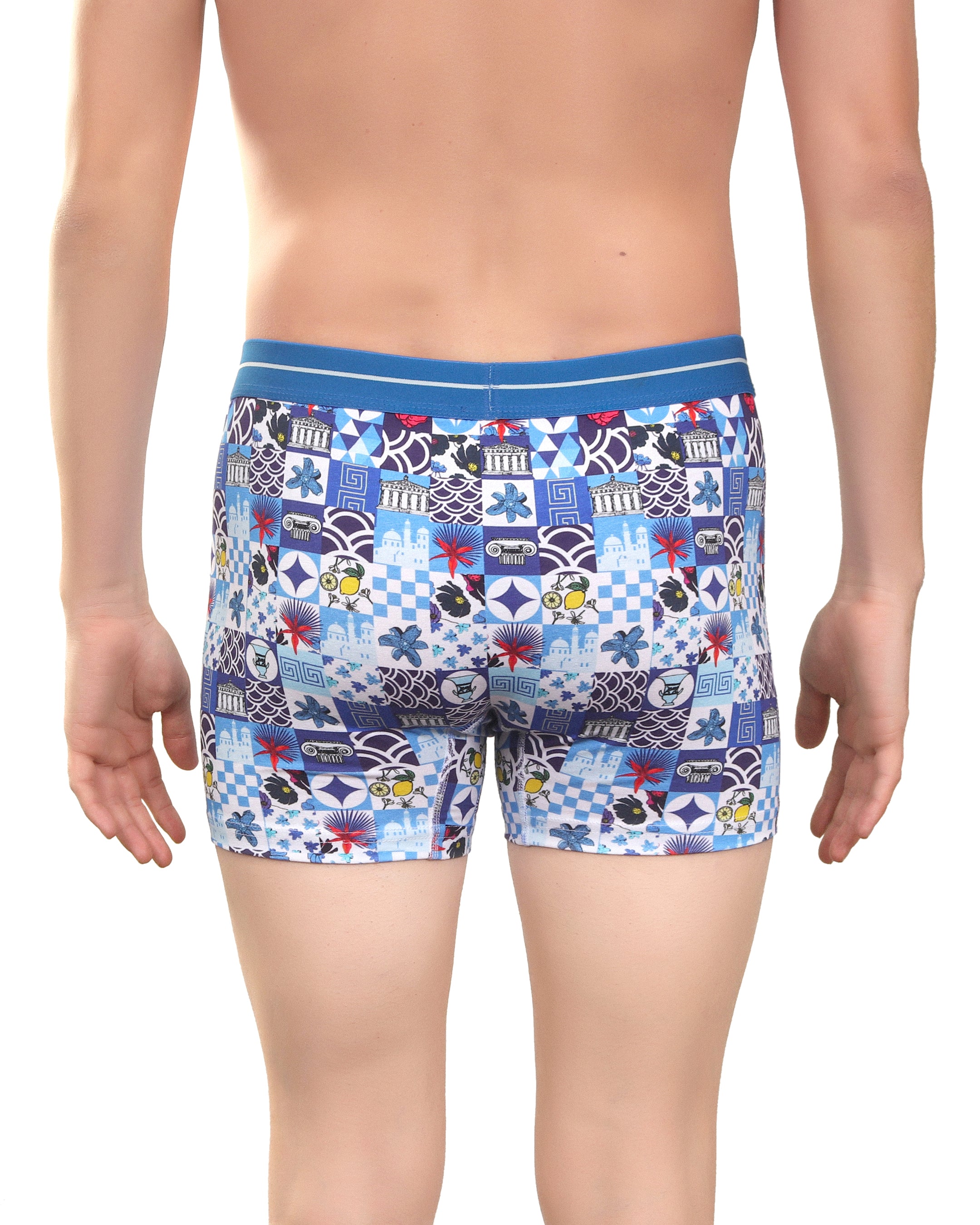 Blue Myth Boxer
