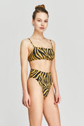 Color Zebra Kadın Bikini Altı